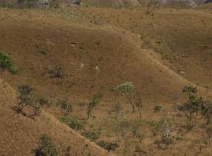 mapbiomas:-fragmentacao-de-areas-naturais-triplicou-em-40-anos-no-pais
