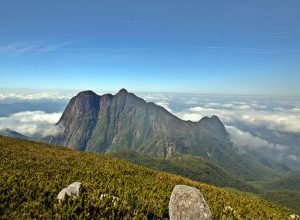iat-reforca-cuidados-especiais-em-areas-de-campos-de-altitude-do-pico-parana
