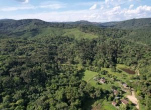 parana-vai-ganhar-uma-londrina-de-area-protegida-com-novas-ucs-em-estudo-pelo-iat