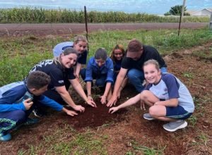 com-entrega-de-mudas,-semana-do-meio-ambiente-ajuda-a-regenerar-4,8-hectares-no-parana