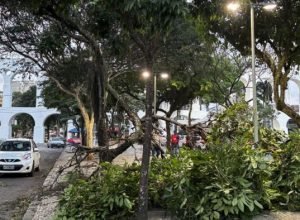 meteorologistas-dizem-que-nao-e-possivel-associar-ventanias-ao-el-nino
