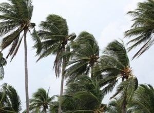 ventos-provocam-danos-na-costa-verde-e-na-regiao-serrana-do-rj