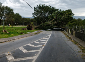 vento-chega-a-125-km/h-e-provoca-ao-menos-duas-mortes-em-sao-paulo