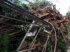 mais-de-200-mil-continuam-sem-energia-no-rio-apos-vendaval