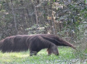 Walter_Ernesto_Groehn_Vergara-_Itaipu_Binacional-fotor-2023080484744