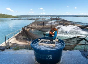 Itaipu e governos do Brasil e do Paraguai promovem visita técnica a produtores de tilápia