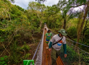 Parque Nacional do Superagui