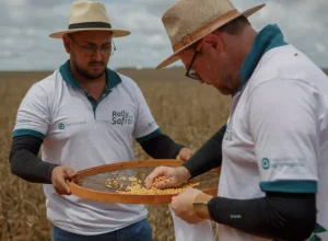 Técnicos do Rally da Safra avaliam lavoura de soja Eduardo Monteiro / Rally da Safra