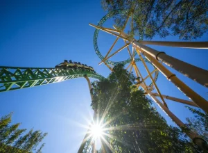 BGT_Cheetah Hunt_Sun Beam