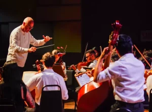 Foto-Diego-Redel-Grandes-Concertos