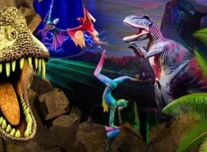 Circo da China Divulgação