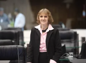 deputada estadual Luciana Rafagnin