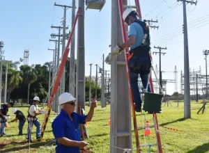 curso gratuito da Copel