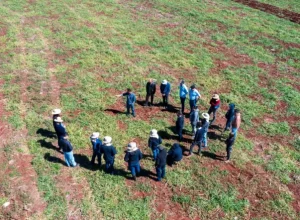 engenheiros-agronomos-itaipu