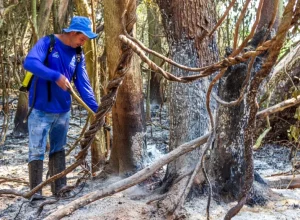 queimdas-itaipubinacional