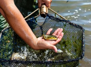 Itaipu e Itaipu Parquetec