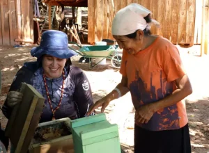 projeto-opana-itiapu-parana