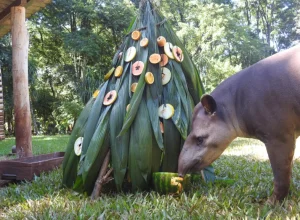 antas-itaipu-binacional