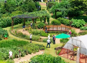itaipu-agricultura-parana