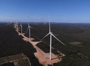 Foto: Divulgação CGN Brasil Complexo eólico de Tanque Novo, na Bahia