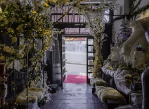 _BAVIERA - IMPRENSA - Natal 2024 White Christmas - Foto- ALISON MARTINS @alisonmrt-