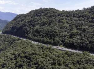 epr_litoral__BR-277 (Jonny Lindner - Divulgação)