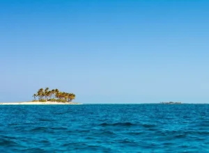 Bahamas Ministry of Tourism, Investments and Aviation (BMOTIA)