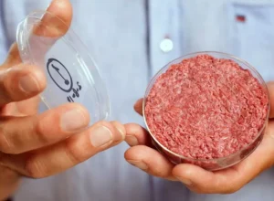 Carne de laboratório será tema de workshop Banco de Imagem