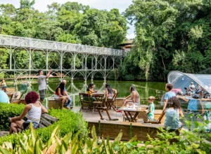 vale-da-musica-curitiba