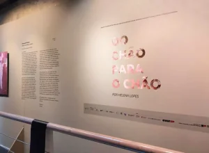 Exposição "Do chão para o chão", de Helena Lopes Roseli Vaz