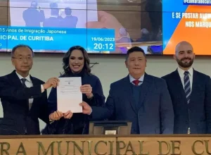 DEPUTADA MARIA VICTÓRIA