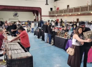 Feira do Vinil, Colecionaveis e Variedades - foto T. Vanso-divulgação (3).jpeg