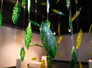 Exposição Amazônia