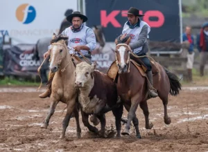 Freio de Ouro Campo - Crédito Felipe Ulbrich Divulgação