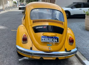 Fusca-Bizorrao