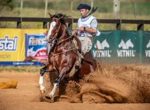 Hilário da Pavei - Crédito João Morais Divulgação