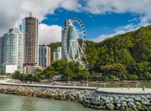 Hildo-Junior-FG-Big-Wheel-2 (1)