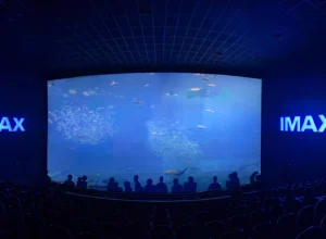 Shopping Palladium Curitiba-cinema-dia-avos