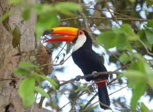 @fotoequipeCataratas / Foto Equipe Cataratas