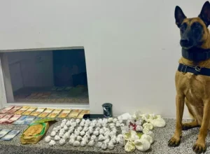 PMPR_pinhais_apreensaodrogas