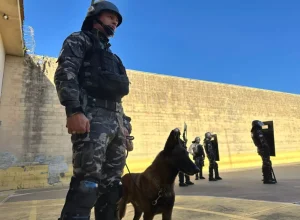 caes-penitenciaria-piraquara-pr