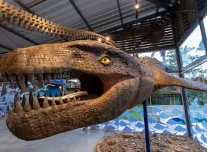 Divulgação/Museu da Vida Marinha Uma das atrações do Museu da Vida Marinha é a remontagem da exposição Gigantes Marinhos, que dispõe de diversas réplicas de animais pré-históricos que habitaram os oceanos