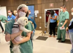 Nos hospitais, a presença de voluntários modifica o ambiente nos corredores Créditos: Divulgação