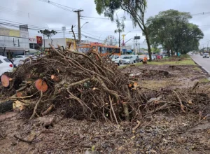 Avenida Victor Ferreira do Amaral