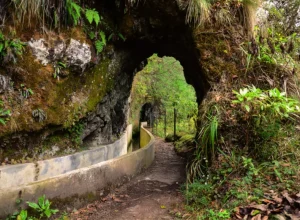 Levada do Furado - Turismo da Madeira