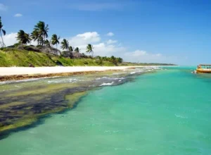 Alagoas: estado é um dos campeões de vendas na operadora para o período de Carnaval divulgação CVC Corp