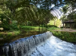 Marco Ankosqui-MTur Horto Florestal