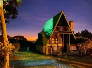 Para facilitar a experiência dos visitantes e expositores na Expo Turismo Paraná 2024, a ABAV-PR desenvolveu um aplicativo, disponível gratuitamente nas lojas do seu celular - iOS ou Android. 👏👏 No app, a organização do evento está colocando as atualizações em tempo real e você também pode conferir o mapa do evento, conhecer os expositores, a programação de palestras e muito mais!