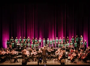 Orquestra-Ouro-Preto---foto-Iris-Zanetti