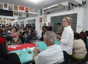 gleisi__PLENÁRIAPT4